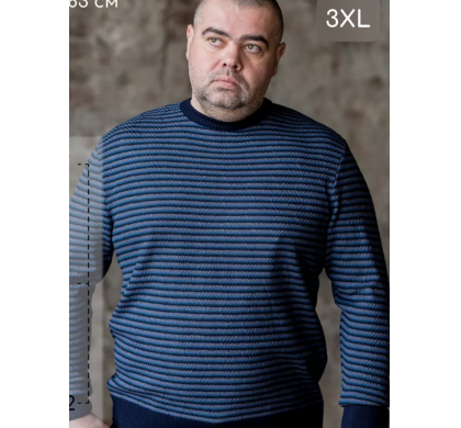 Полосатый джемпер 6XL-7XL (2076), цвет синий, D.Steech, фото № 1